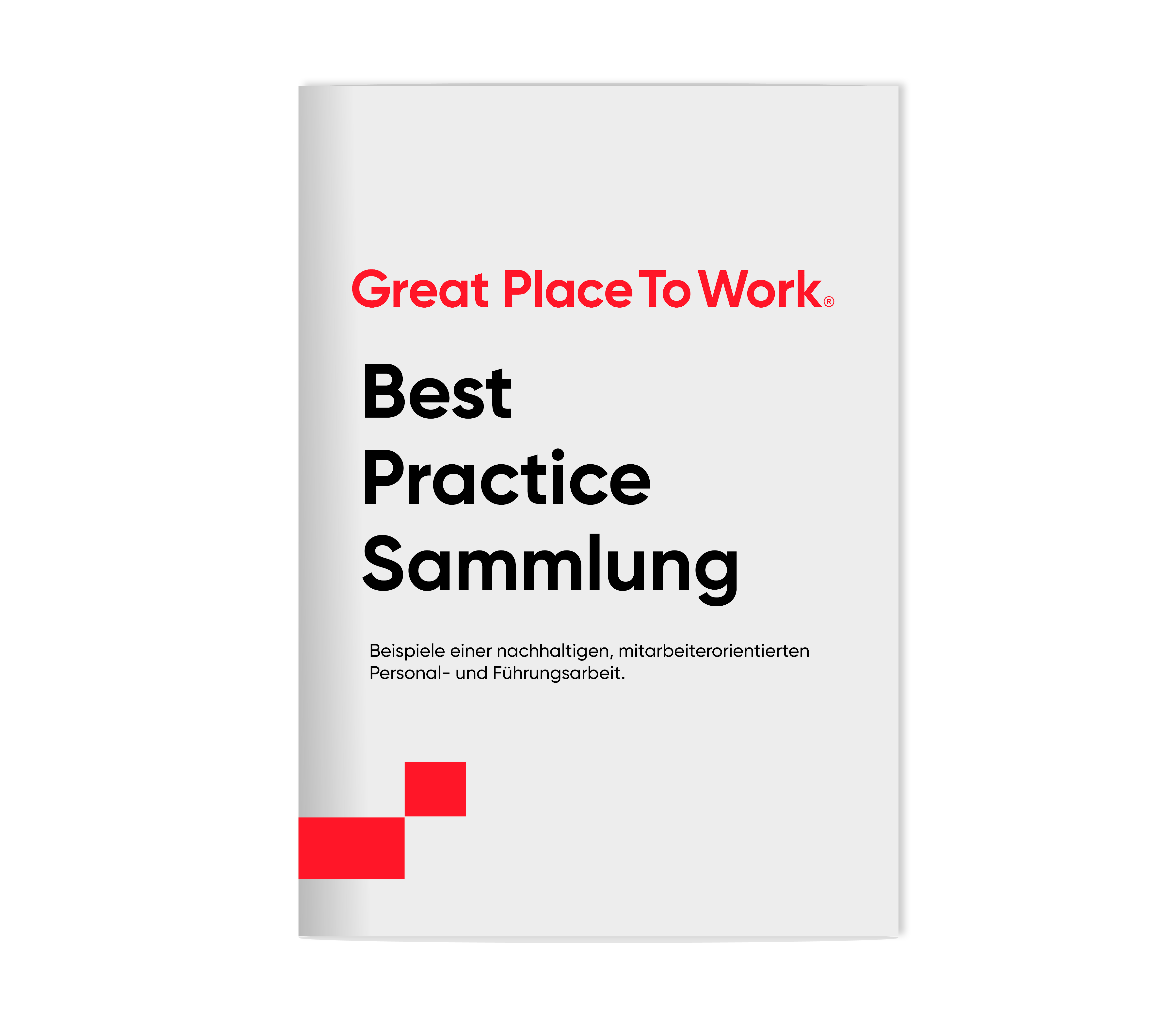 weißes Cover zur Best Practice Sammlung