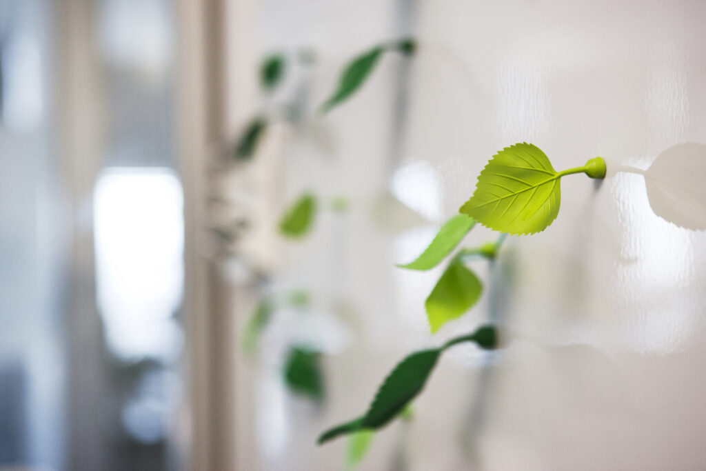 green leafs on a white wall