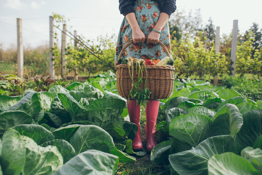 woman holding a basket standing in a green garden